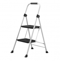 2 Step Hardy Ladder